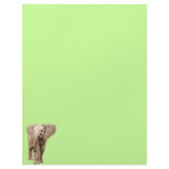 Cute Baby Elephant Custom Letterhead