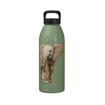 Cute Baby Elephant Water Bottles