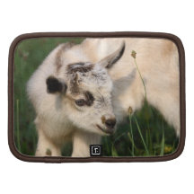 Cute Baby Goat Organizers