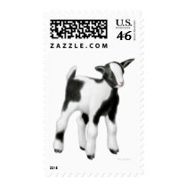 Cute Baby Goat Postage