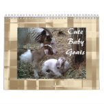 Cute Baby Goats Calendar