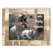Cute Baby Goats Calendar