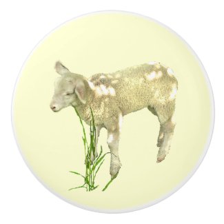 Cute Baby Lamb on Yellow Ceramic Knob