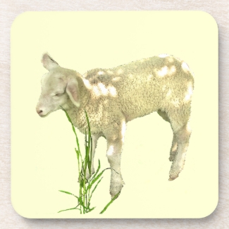 Cute Baby Lamb on Yellow Coaster