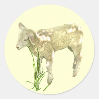 Cute Baby Lamb on Yellow Stickers