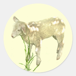 Cute Baby Lamb on Yellow Stickers