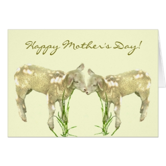 Cute Baby Lambs on Yellow Mothers Day Card