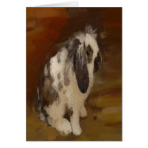 Cute, Baby Lop Eared Rabbit Cards