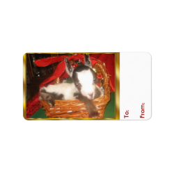 Cute Baby Myotonic Goat Christmas Gift Tag Address Label