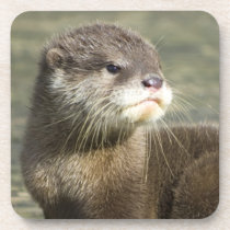 Cute Baby Otter Beverage Coaster