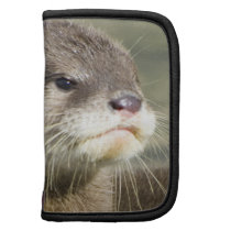 Cute Baby Otter Folio Planners