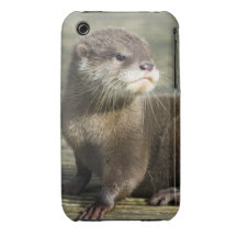 Cute Baby Otter iPhone 3 Case-Mate Cases