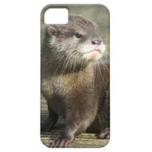 Cute Baby Otter iPhone 5 Case