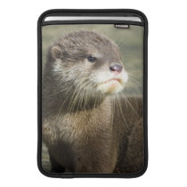 Cute Baby Otter MacBook Sleeves