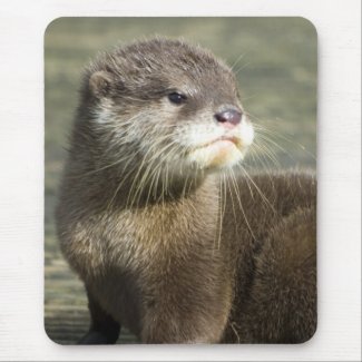 Cute Baby Otter Mouse Pads