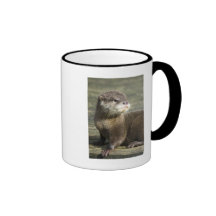 Cute Baby Otter Mugs