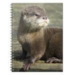 Cute Baby Otter Notebooks
