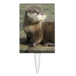 Cute Baby Otter Rectangular Cake Picks