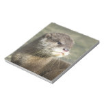 Cute Baby Otter Scratch Pad