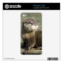 Cute Baby Otter Skins For iPhone 4
