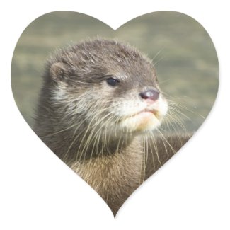 Cute Baby Otter zazzle_sticker