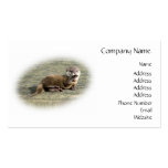 Cute Baby Otter Yawning business cards