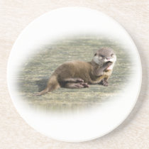 Cute Baby Otter Yawning Drink Coaster