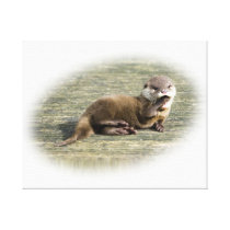 Cute Baby Otter Yawning Stretched Canvas Print