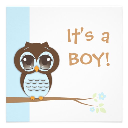 Cute Baby Owl It's a Boy Baby Shower Invitation (front side)