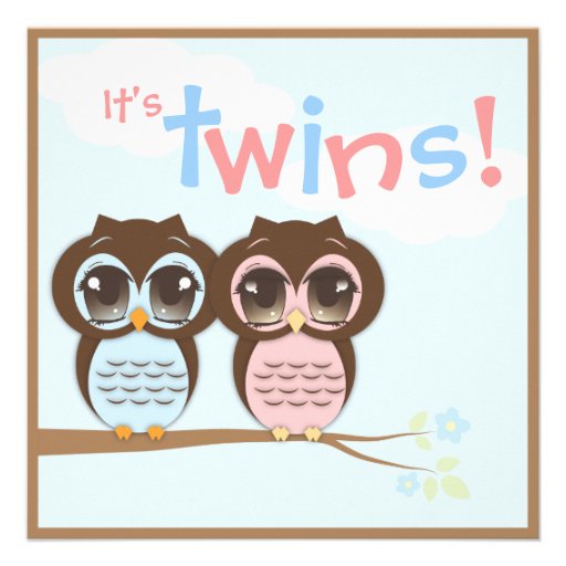 Cute Baby Owls Twins Baby Shower Invitation from Zazzle.com