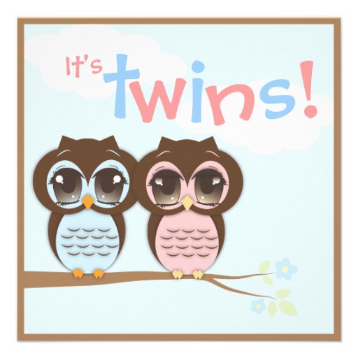 Cute Baby Owls Twins Baby Shower Invitation