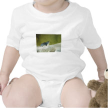 Cute Baby Penguin At Perth Zoo Shirt