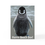 Cute Baby Penguin-lover Beach Funny Birthday Card