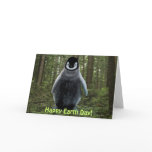 Cute Baby Penguin-lover Forest Funny Birthday Card