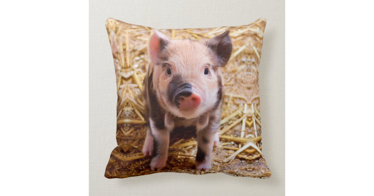 Cute Baby Piglet Farm Animals Babies Throw Pillow Zazzle