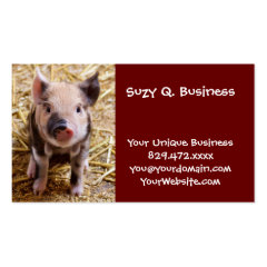 Cute Baby Piglet Farm Animals Barnyard Babies Business Card
