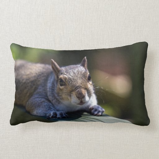 Cute Baby Squirrel Nature Photography Lumbar Pillow Zazzle