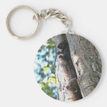 Cute Baby Squirrels Keychain