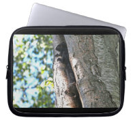 Cute Baby Squirrels Laptop Sleeve