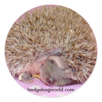Cute baby sticker