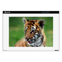 Cute baby Tiger cub 15" Laptop Decal