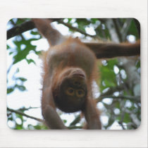 Cute Baby: Wildlife mousepad