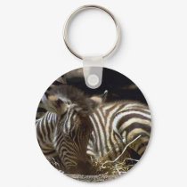 Cute Baby Zebra keychains