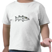 Cute Great Barracuda 