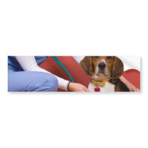 Cute Beagle Dog Getting a Veterinary Checkup Bumper Stickers
