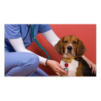 Cute Beagle Dog Getting a Veterinary Checkup Business Card Template