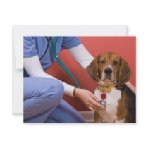 Cute Beagle Dog Getting a Veterinary Checkup Personalized Invites