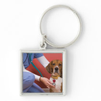 Cute Beagle Dog Getting a Veterinary Checkup Keychains