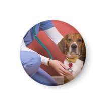 Cute Beagle Dog Getting a Veterinary Checkup Magnets