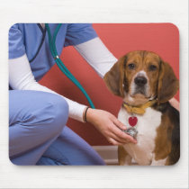 Cute Beagle Dog Getting a Veterinary Checkup Mousepads